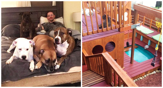 Man turned his backyard into a large playground for his pets. Source: Facebook screenshot