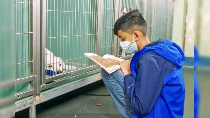 Evan Bisnauth reading to a dog. Source: Daily Paws screenshot