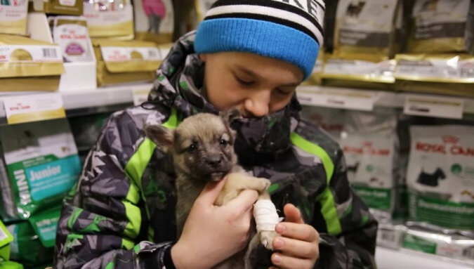 Boy with his new pet. Source: YouTube screenshot