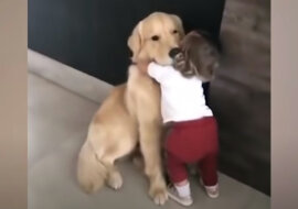 Little girl and a pup. Source: YouTube screenshot