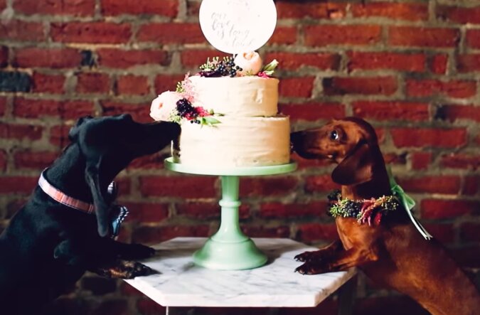 One of the most adorable weddings. Source: Screenshot YouTube