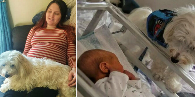 Charlotte Beard (left); her son and therapy dog (right). Source: Daily Mail screenshot
