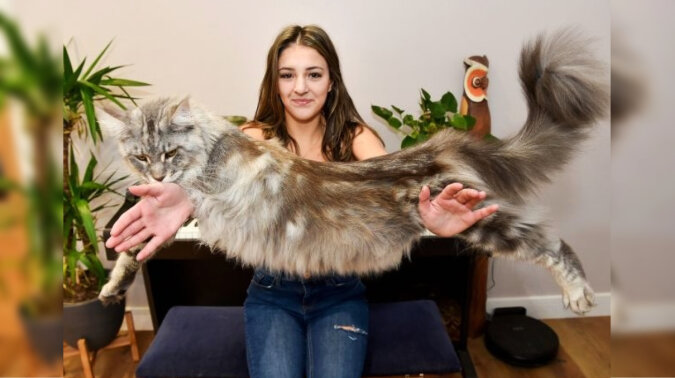 Murphy the cat with his owner. Source: Daily Mail screenshot