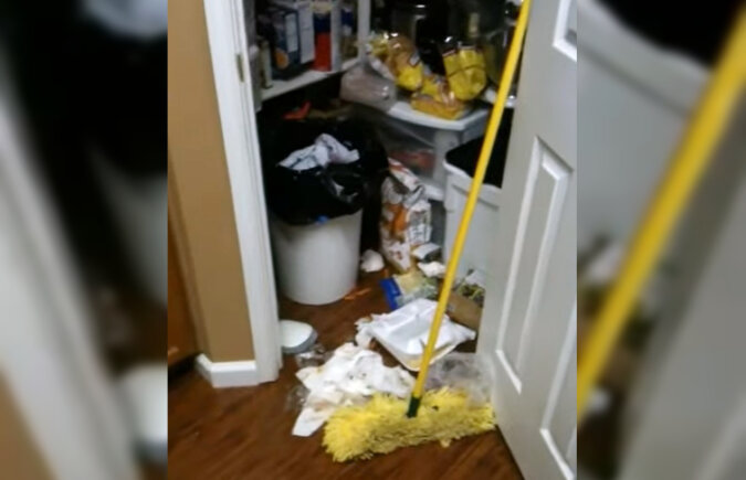 A dog got into the trash. Source: YouTube screenshot