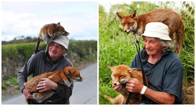 The man and his pet foxes. Source: petpop screenshot