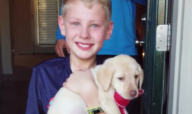 Boy and puppy. Source: YouTube screenshot